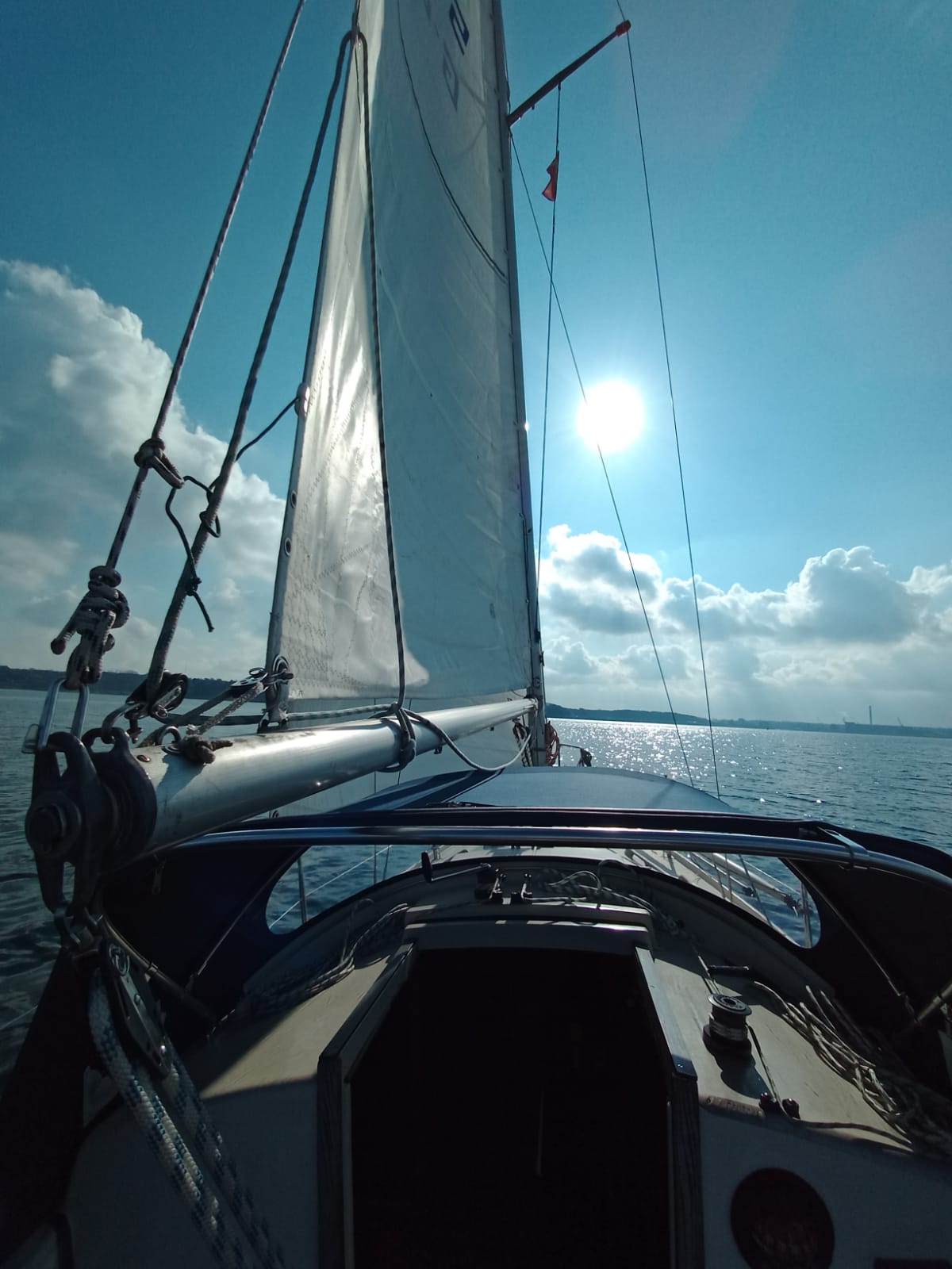 Just sailing ⛵🌞