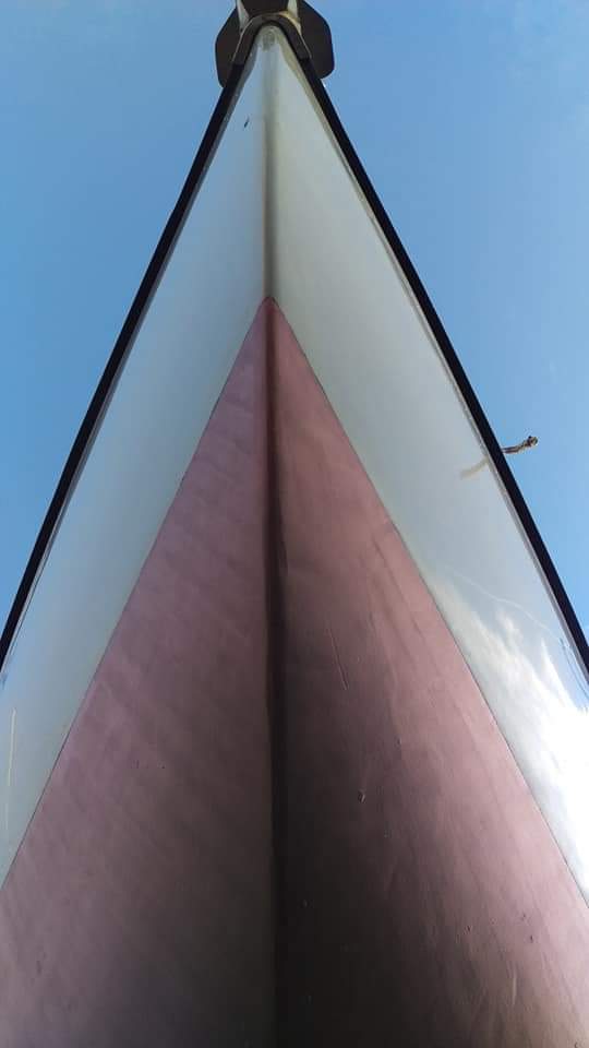 Antifouling 2019