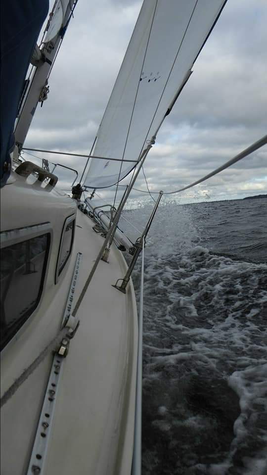 Just can’t get enough