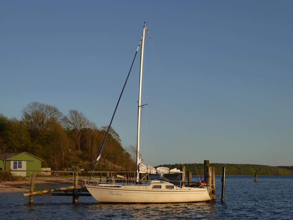 Auf der großen Ochseninsel