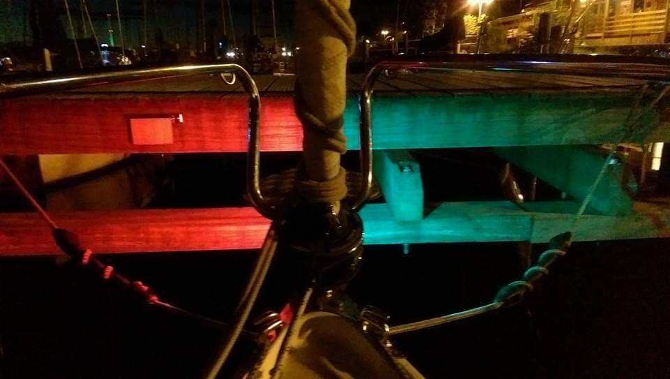 Findus by night 🌘