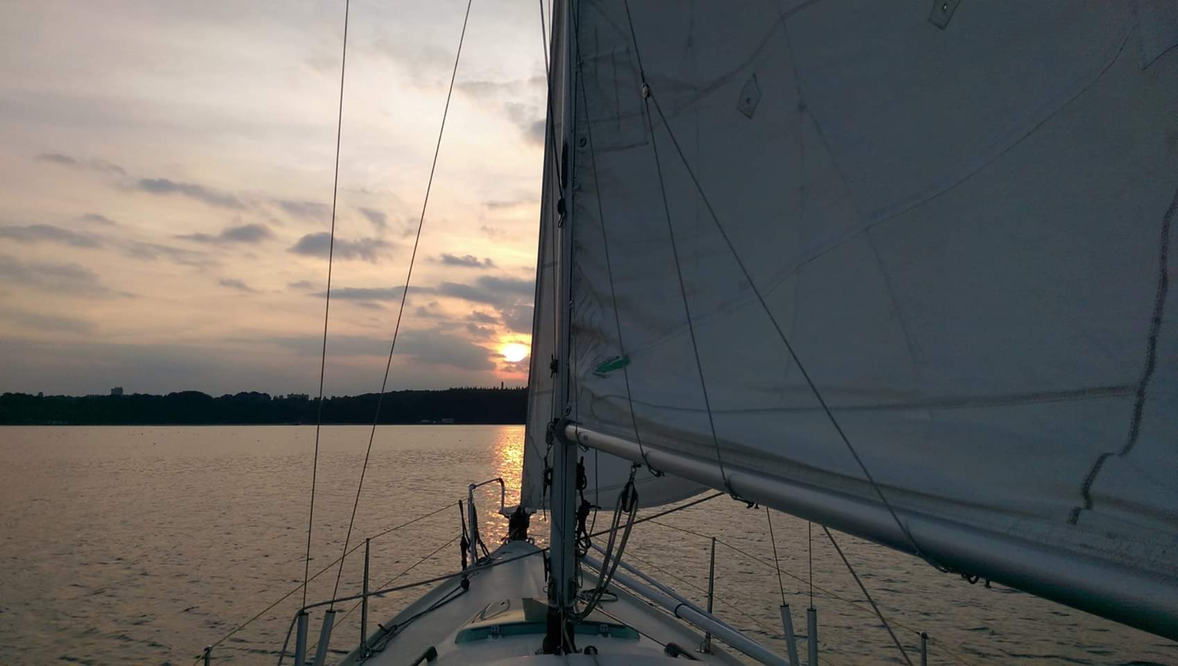 Findus sails into the sun