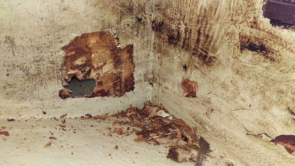 Ups….…morsches Holz…😱