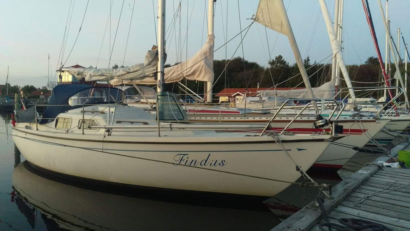 Findus war ein Pinguin