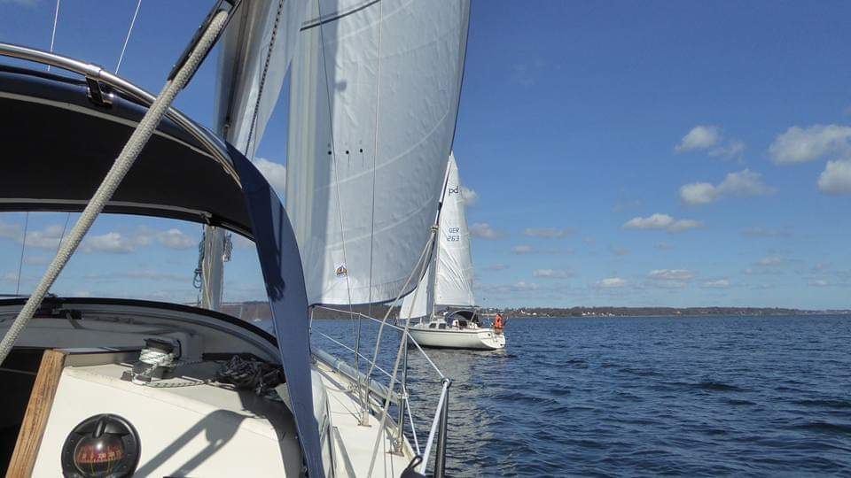 Big brother is watching you