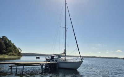 På okseøen